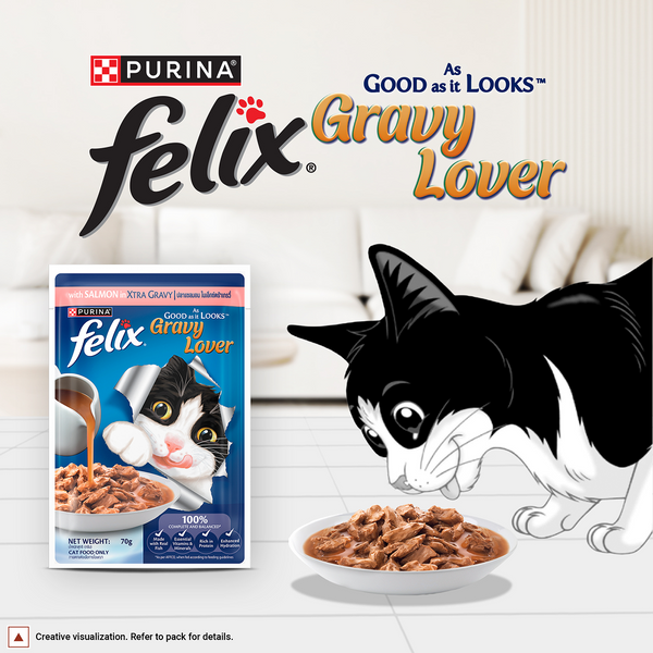 Purina Felix Gravy Lover Salmon Chunks Adult Complete and Balanced Cat Wet Food
