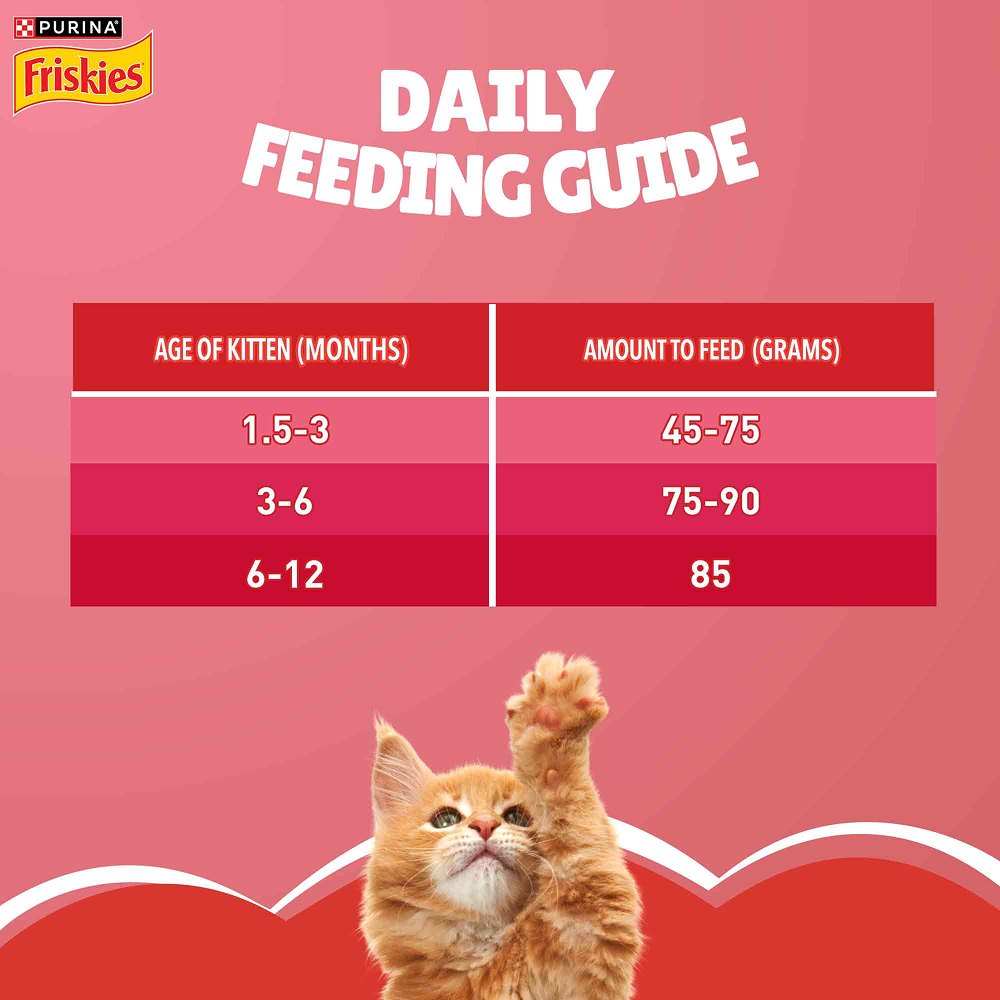 Purina Friskies Kitten Cat Dry Food Cats- Dry food Friskies