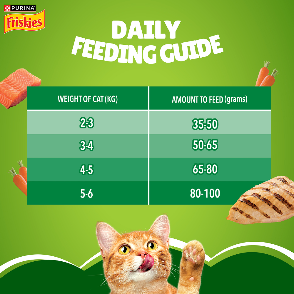 Friskies Indoor Delights Adult Cat Dry Food Cats- Dry food Friskies