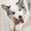 M Pets Chewood Bone Chew Toy for Dogs (Brown) Dogs-Toys M Pets