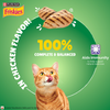 Purina Friskies Gravy licious Chicken Flavour Adult Cat Food Cats-Wet Food Friskies