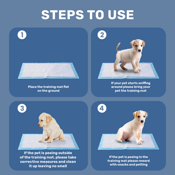 Kibbo Ultra Absorbent Leak Proof Training Pads for Dogs & Cats (45x60cm)