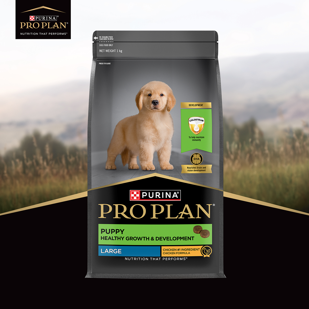 Pro Plan Chicken Large Breed Puppy Dog Dry Food (New Improved Formula) Dogs- Dry Food Pro Plan