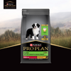Purina Pro Plan Chicken Medium Breed Puppy Dog Dry Food (New Improved Formula) Dogs- Dry Food Pro Plan