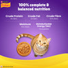 Purina Friskies Gravy licious Tuna Flavour Adult Cat Food Cats-Wet Food Friskies