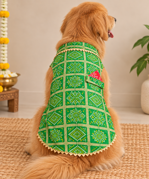 Pawgy Pets Bandhani Kurta for Dogs (Green)