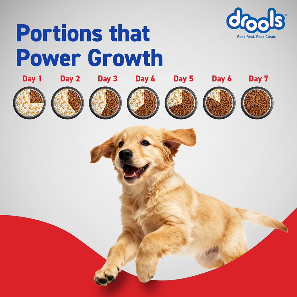 Drools Chicken and Egg Puppy Dog Dry Food Dogs- Dry Food Drools