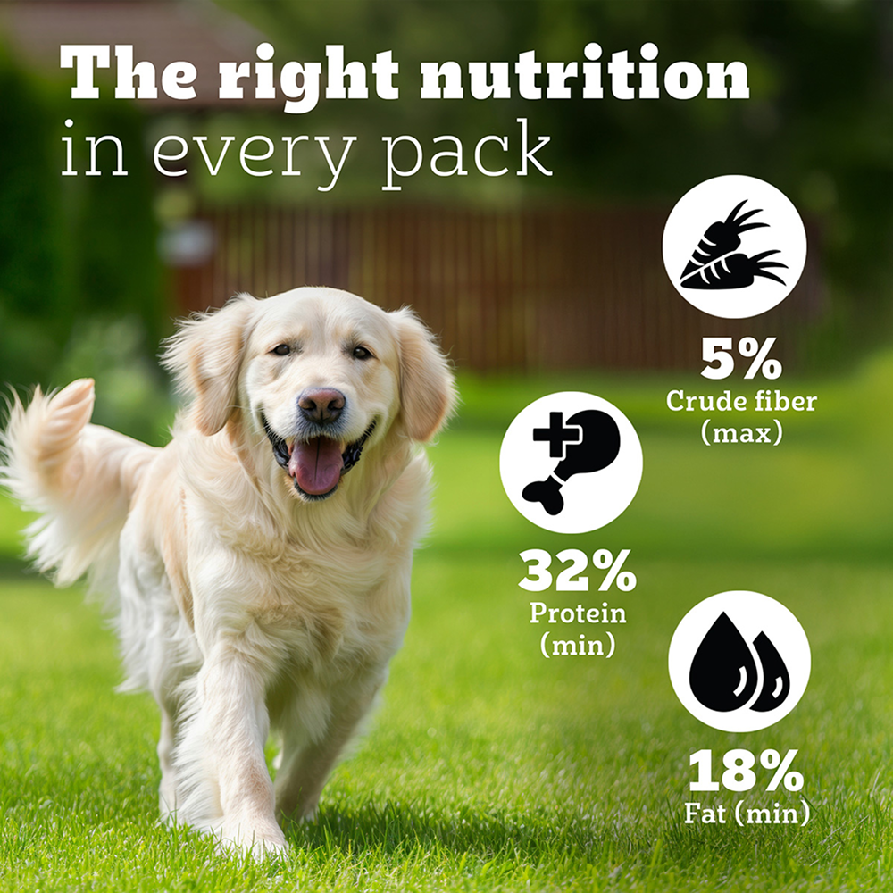 Pedigree PRO Expert Nutrition Lactating/Pregnant Mother & Puppy Starter(3 to 12 Weeks) Large Breed Dog Dry Food Dogs- Dry Food Pedigree PRO