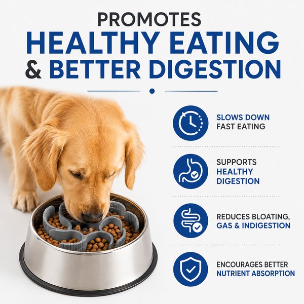 Talking Dog Club Universal Silicone Slow Feeder Bowl Attachment for Dogs and Cats (Grey)
