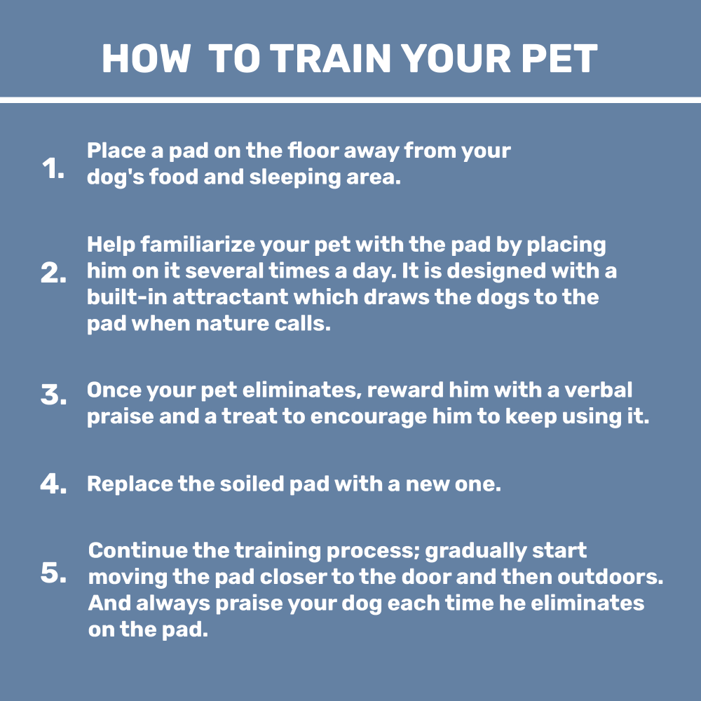 Kibbo Ultra Absorbent Leak Proof Training Pads for Dogs & Cats (45x60cm) Dogs-Health & Wellness Kibbo
