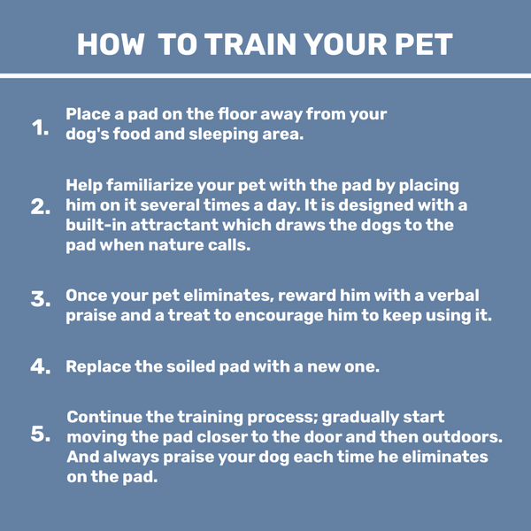 Kibbo Ultra Absorbent Leak Proof Training Pads for Dogs & Cats (45x60cm)