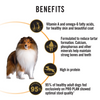 Purina Pro Plan Chicken Medium Breed Adult Dog Dry Food (New Improved Formula) Dogs- Dry Food Pro Plan
