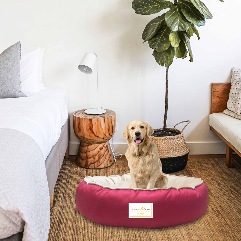 House of Furry Ultra Soft Velvet Luxury Donut Sofa Bed for Dogs and Cats (Multi Color)