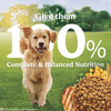 Purina Friskies Chicken Adult Dog Dry Food Dogs- Dry Food Friskies