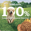 Purina Friskies Chicken Flavoured Puppy Dog Dry Food Dogs- Dry Food Friskies