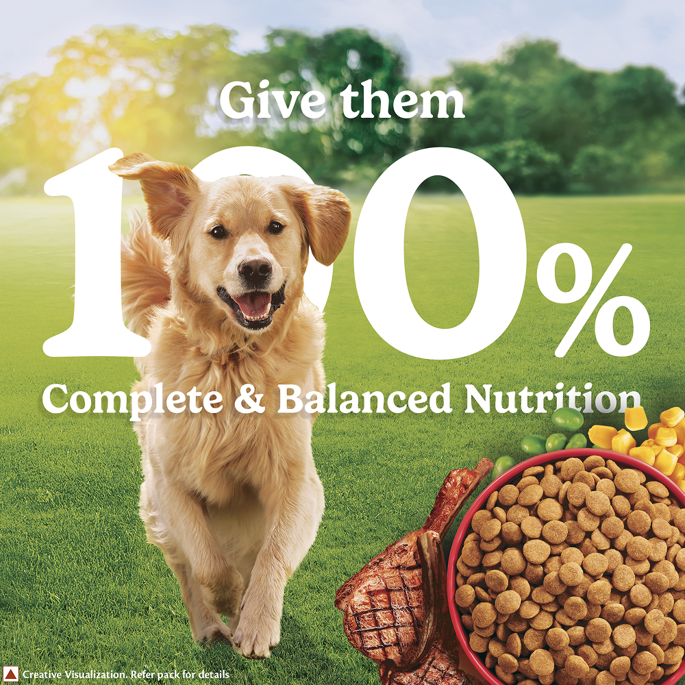 Purina Friskies Meat Adult Dog Dry Food Dogs- Dry Food Friskies