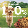 Purina Friskies Meat Adult Dog Dry Food Dogs- Dry Food Friskies