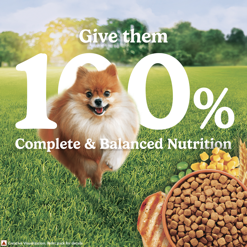 Purina Friskies Chicken Small Breed Adult Dog Food Dogs- Dry Food Friskies