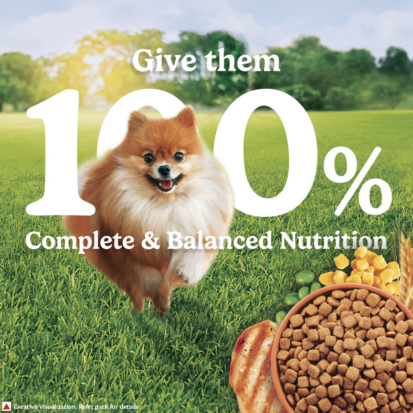 Purina Friskies Chicken Small Breed Adult Dog Food