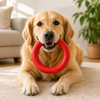 Talking Dog Club Ringa a Ring Natural Rubber Chew Toy for Dogs (Red) Dogs-Toys Talking Dog Club Dropship