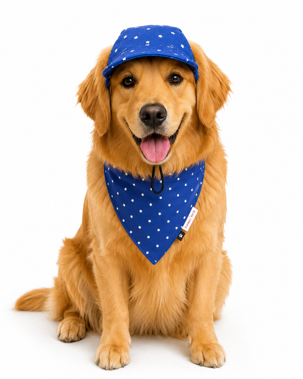 Pawgypets Star Denim Cap and Bandana Set for Dogs and Cats (Royal Blue)