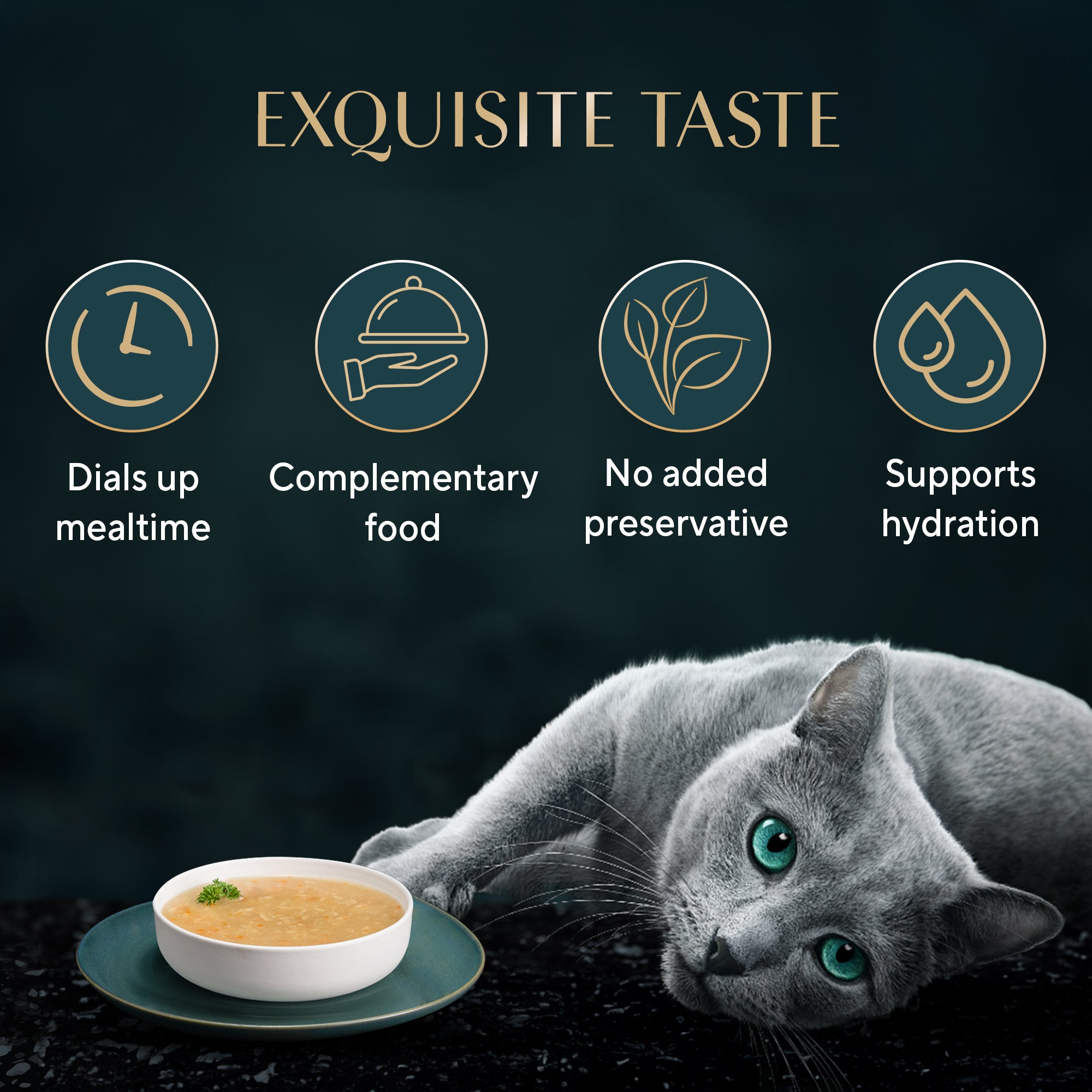 Sheba Soup with Chicken Adult Cat Wet Food Cats-Wet Food Sheba