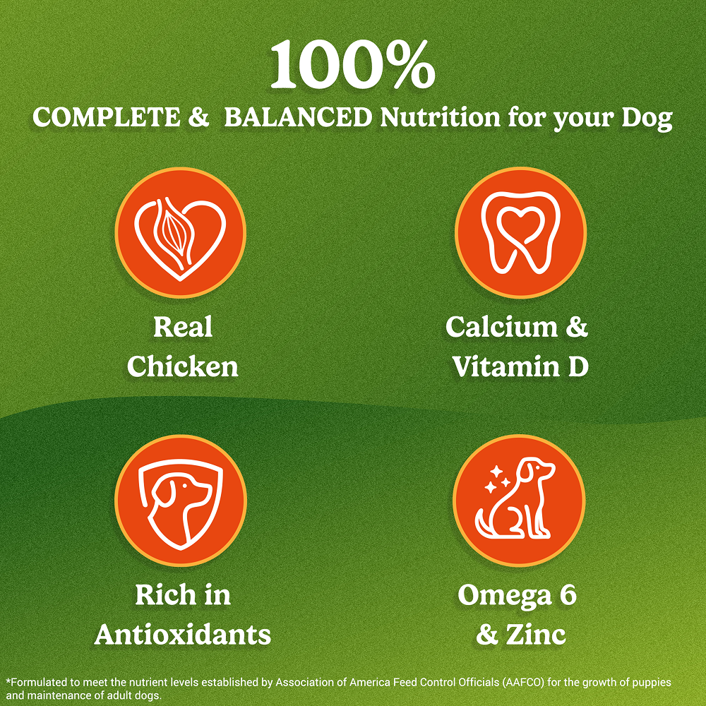 Purina Friskies Chicken Adult Dog Dry Food Dogs- Dry Food Friskies