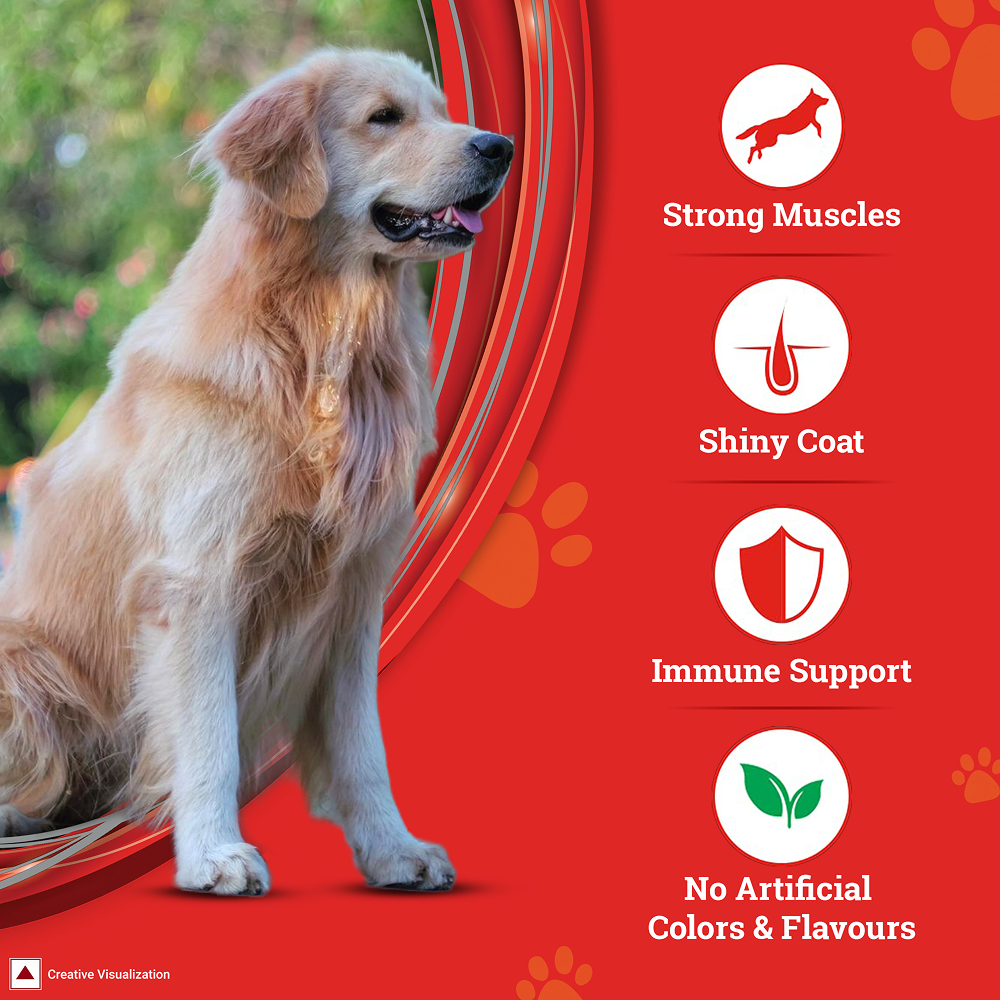Purina SuperCoat Chicken Adult All Breed Dog Dry Food Dogs- Dry Food SuperCoat