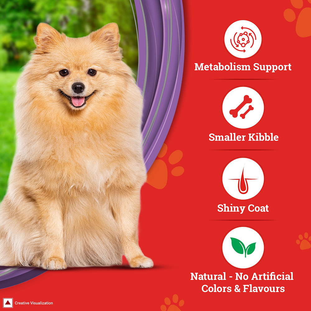 Purina SuperCoat Chicken Adult Small Breed Dog Dry Food Dogs- Dry Food SuperCoat