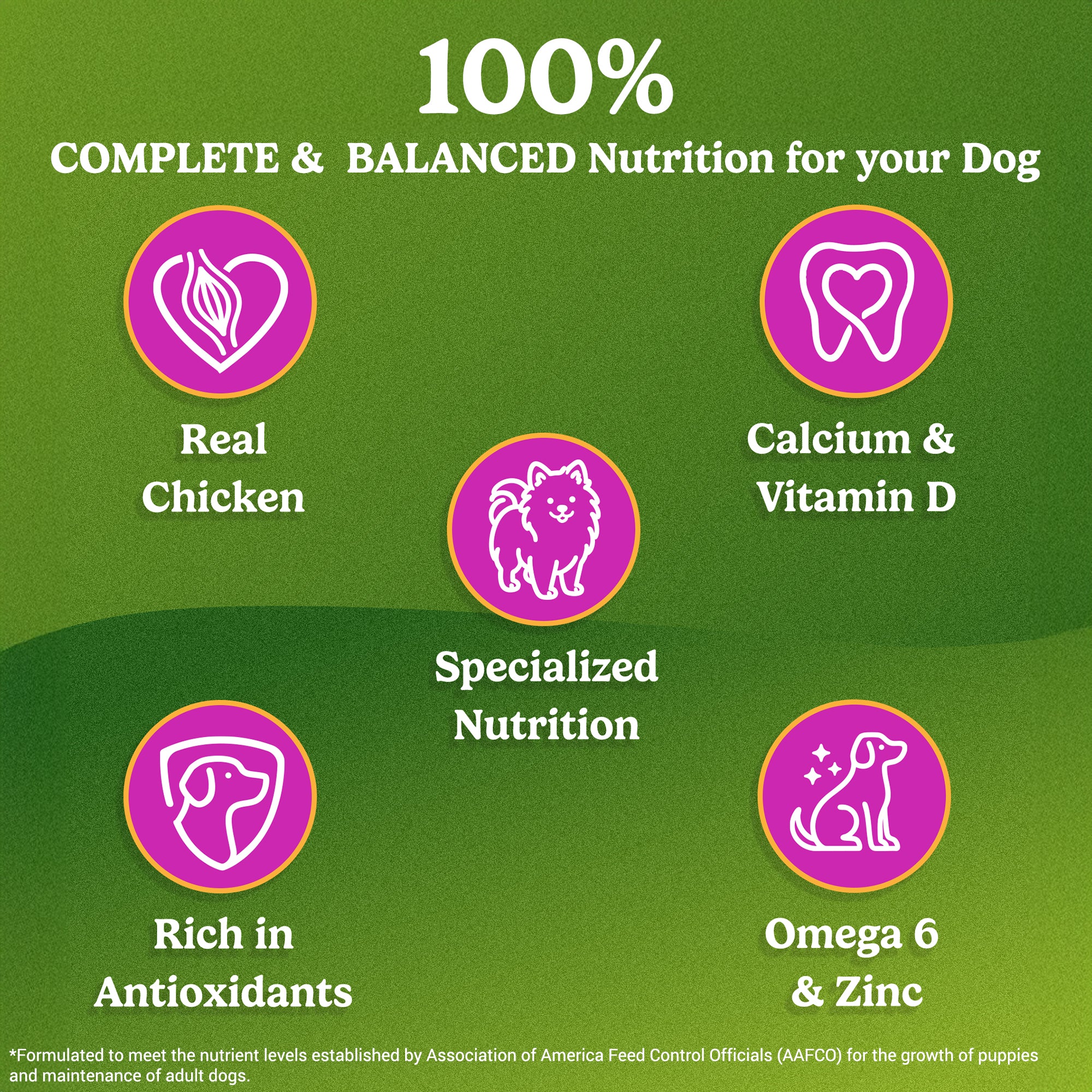 Purina Friskies Chicken Small Breed Adult Dog Food Dogs- Dry Food Friskies