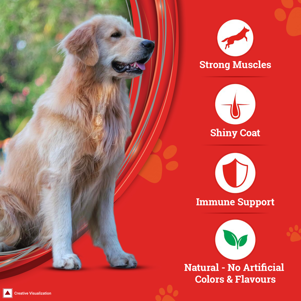 SuperCoat Chicken Adult All Breed Dog Dry Food