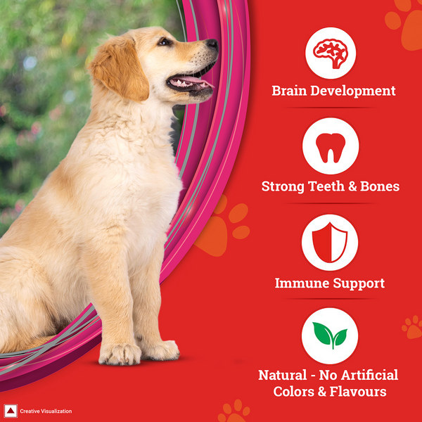 Purina SuperCoat Chicken Smartblend Puppy Dog Dry Food (Up to 12 months)