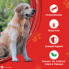 Purina SuperCoat Chicken Smartblend Adult Dog Dry Food (1+ Years) Dogs- Dry Food SuperCoat