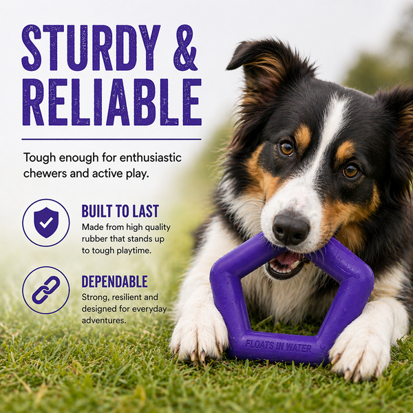 Talking Dog Club Sturdy Hexagon Floater Chew Toy for Dogs (Purple)
