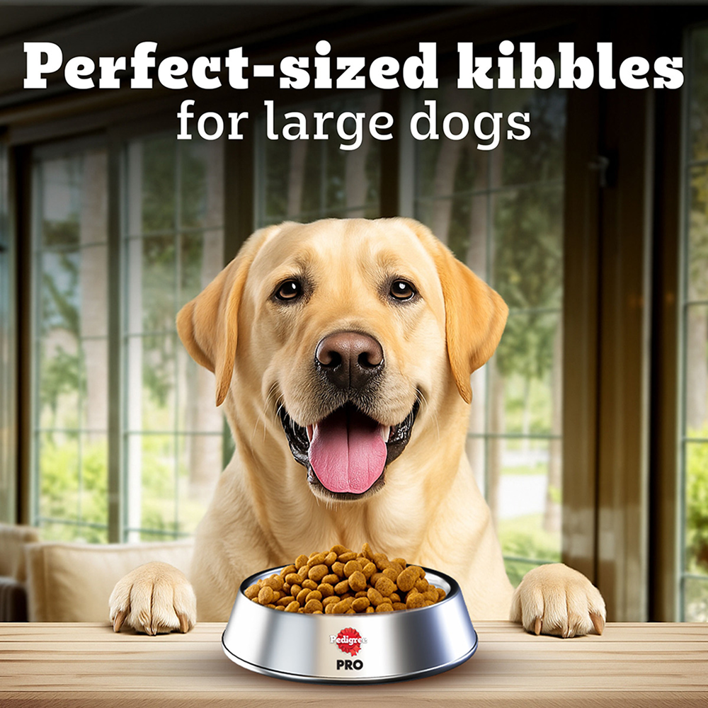 Pedigree PRO Expert Nutrition Lactating/Pregnant Mother & Puppy Starter(3 to 12 Weeks) Large Breed Dog Dry Food Dogs- Dry Food Pedigree PRO