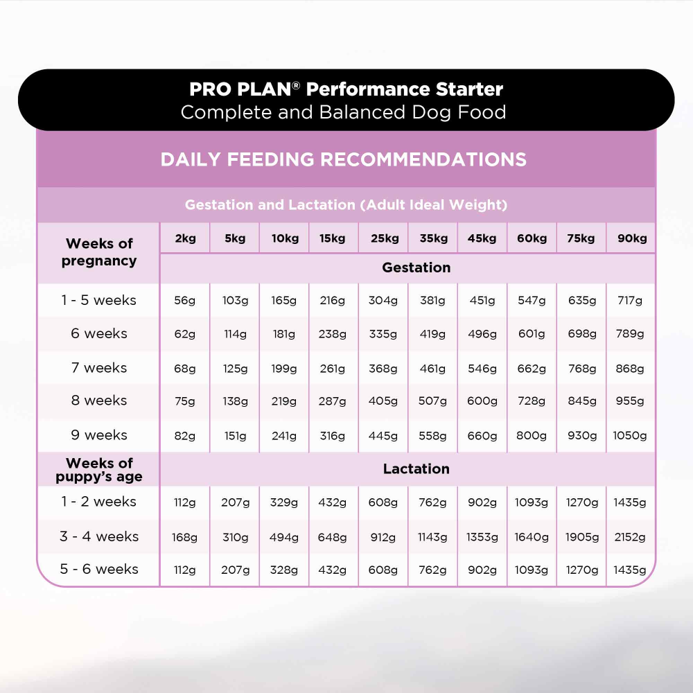 Pro Plan Chicken Mother and Puppy Starter Dog Dry Food (New Improved Formula) Dogs- Dry Food Pro Plan