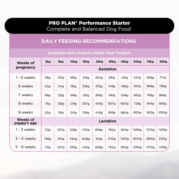Pro Plan Chicken Mother and Puppy Starter Dog Dry Food (New Improved Formula)