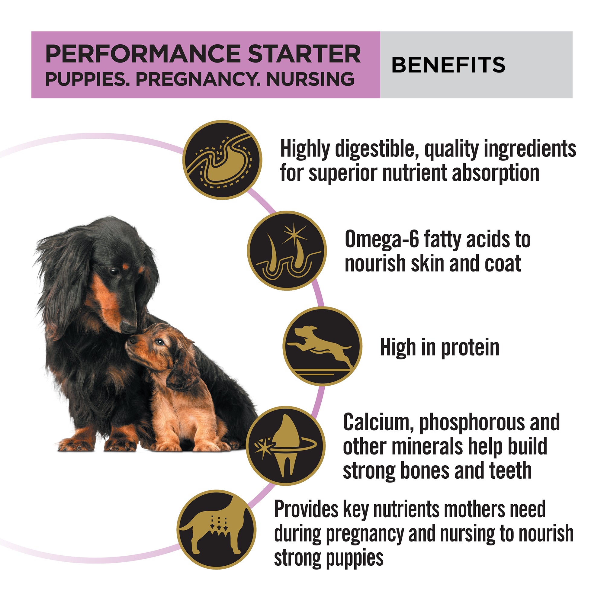 Purina Pro Plan Chicken Mother and Puppy Starter Dog Dry Food (New Improved Formula) Dogs- Dry Food Pro Plan