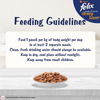 Purina Felix Gravy Lover Salmon Chunks Adult Complete and Balanced Cat Wet Food Cats-Wet Food Felix