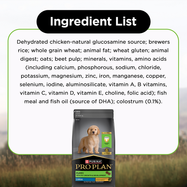Pro Plan Chicken Large Breed Puppy Dog Dry Food (New Improved Formula)