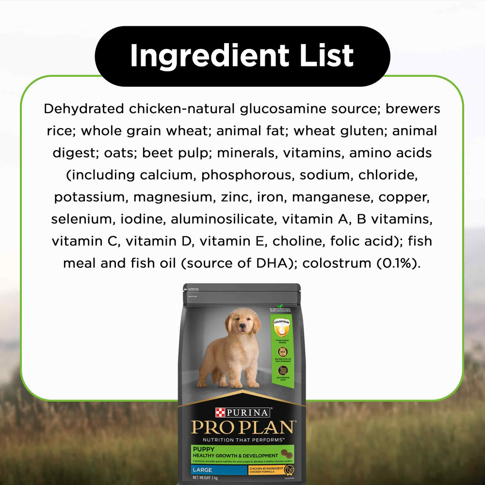 Pro Plan Chicken Large Breed Puppy Dog Dry Food (New Improved Formula)