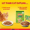 Purina Friskies Gravy licious Chicken Flavour Adult Cat Food Cats-Wet Food Friskies