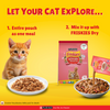 Purina Friskies Chicken Flavour Gravy licious Kitten Cat Wet Food Cats- Dry food Friskies