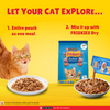Purina Friskies Gravy licious Ocean Fish Flavour Adult Cat Wet Food Cats-Wet Food Friskies