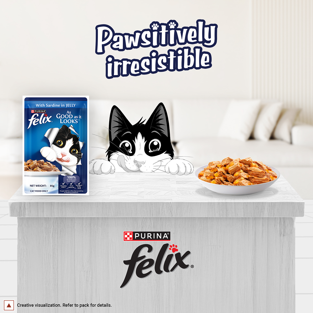 Purina Felix with Sardine in Jelly Complete and Balanced Adult Cat Wet Food Cats-Wet Food Felix