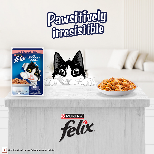 Purina Felix with Salmon in Jelly Adult Complete and Balanced Cat Wet Food
