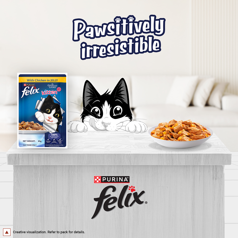 Purina Felix with Chicken in Jelly Complete and Balanced Kitten Cat Wet Food Cats-Wet Food Felix