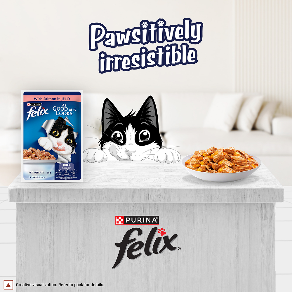 Purina Felix Salmon with Jelly Adult Complete and Balanced Cat Wet Food Cats-Wet Food Felix