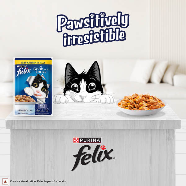 Buy Purina Felix Chicken with Jelly Adult Cat Wet Food Online