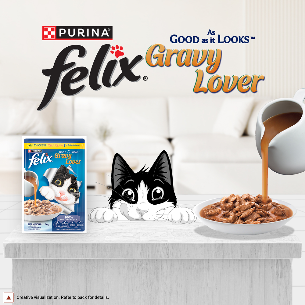Purina Felix Gravy Lover Chicken Chunks Adult Complete and Balanced Cat Wet Food Cats-Wet Food Felix